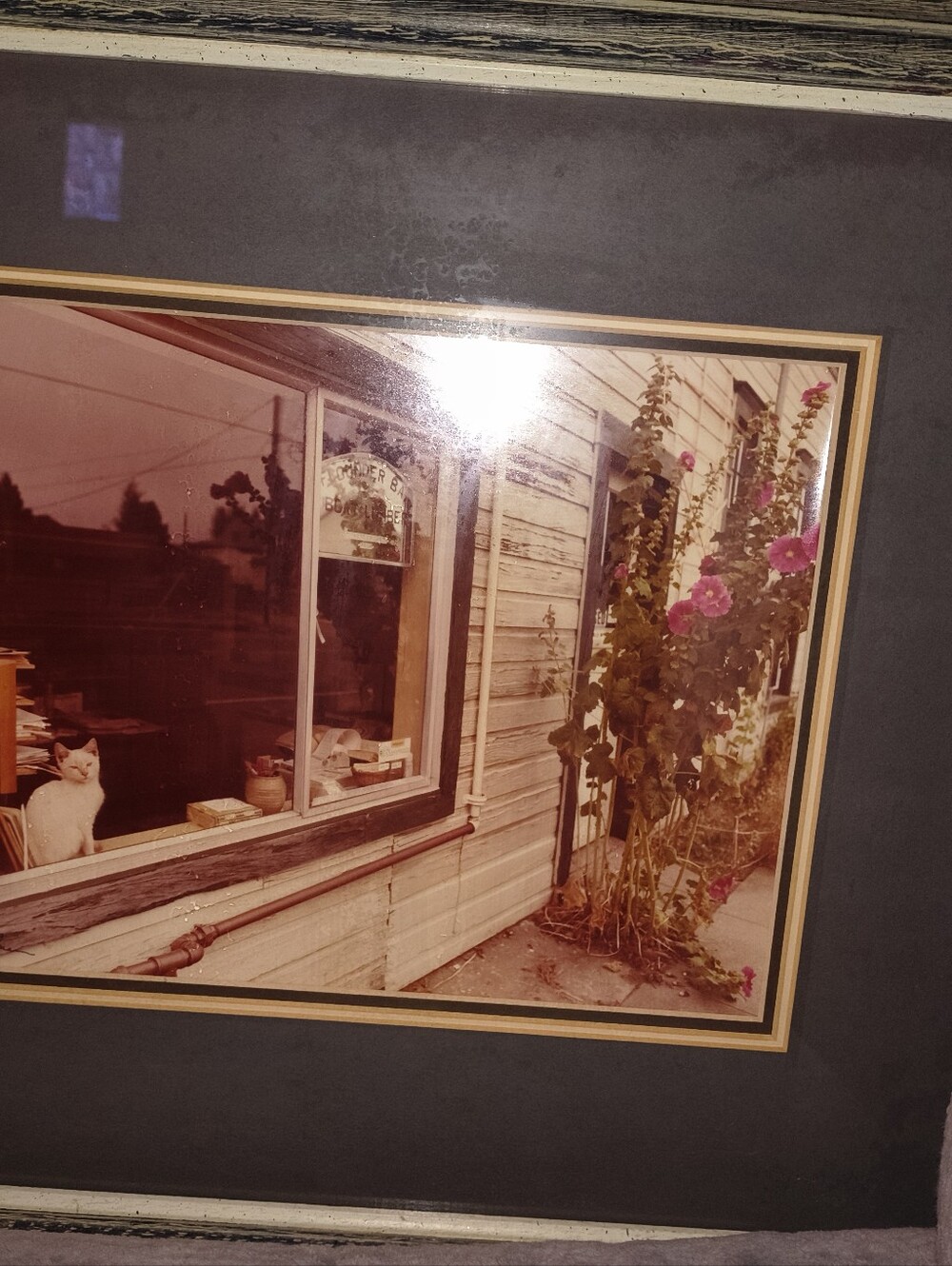 Framed Vintage Floral & Cat Wall Art in Green Mat